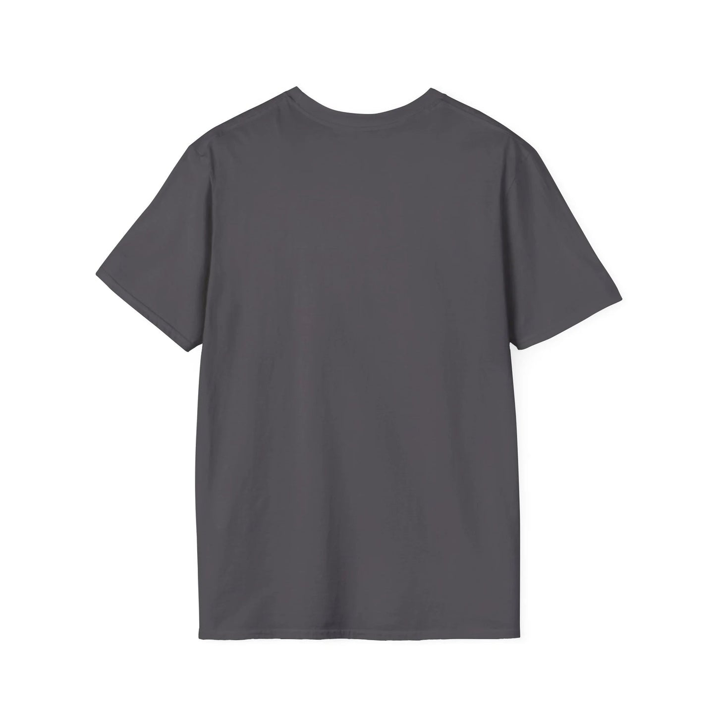 Curious Airline Tourist - Soaring Cat T-Shirt Charcoal Back
